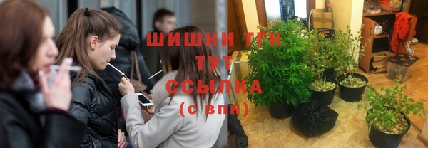 PSILOCYBIN Горнозаводск