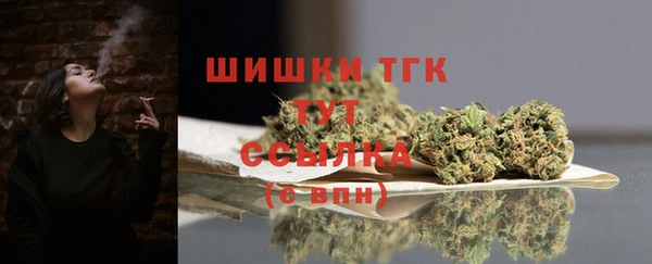 PSILOCYBIN Горнозаводск