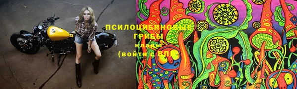 экстази Горняк
