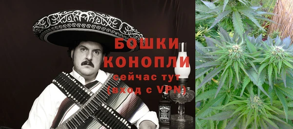 экстази Горняк