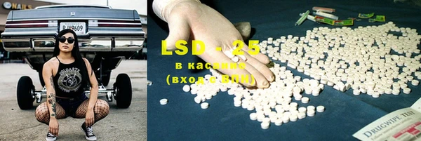 PSILOCYBIN Горнозаводск