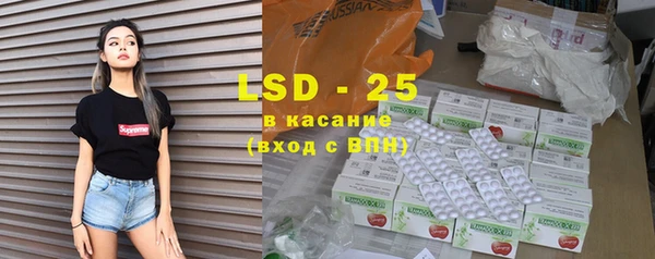 PSILOCYBIN Горнозаводск