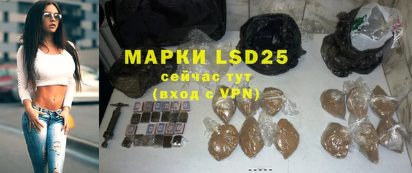 PSILOCYBIN Горнозаводск