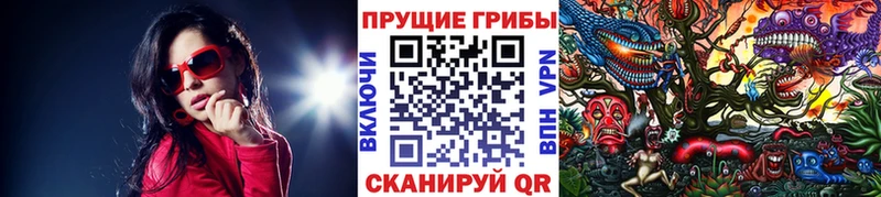 Псилоцибиновые грибы мицелий  Сибай 
